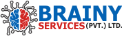 BRAINY SERVICES - Chatbot